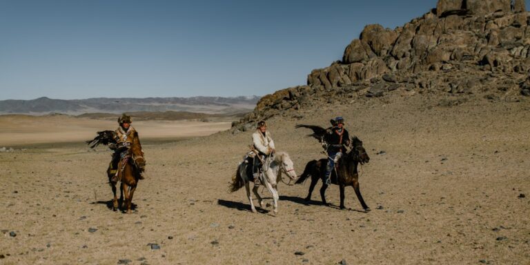 Local News and Events in the Prairie Region of Illinois for June 2024