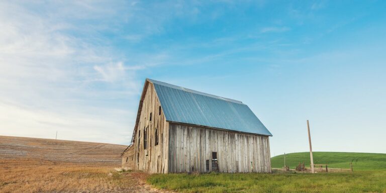 Agriculture and Farming: Innovations and Insights in the Prairie Region